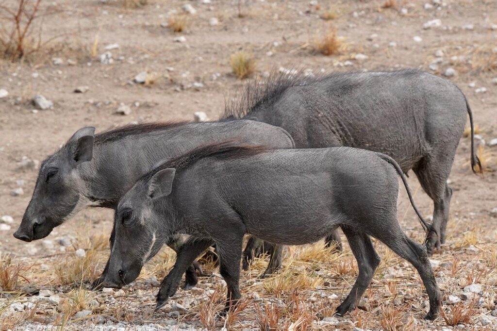 宅配弁当を利用して痩せた人の成功事例は？