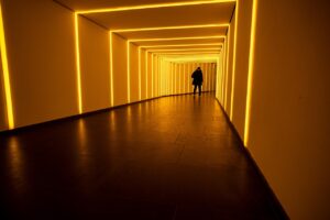 忙しい人のためのダイエット宅食食事はどのように選ぶべき？