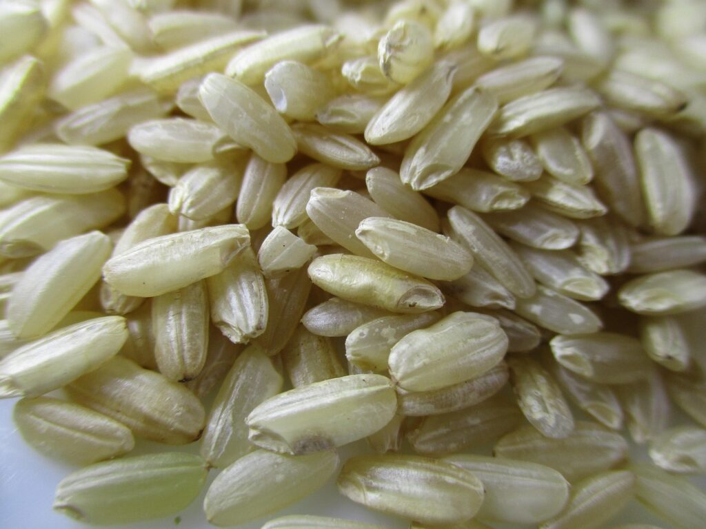 玄米を使ったヘルシーな宅食でダイエットに成功する方法は？
