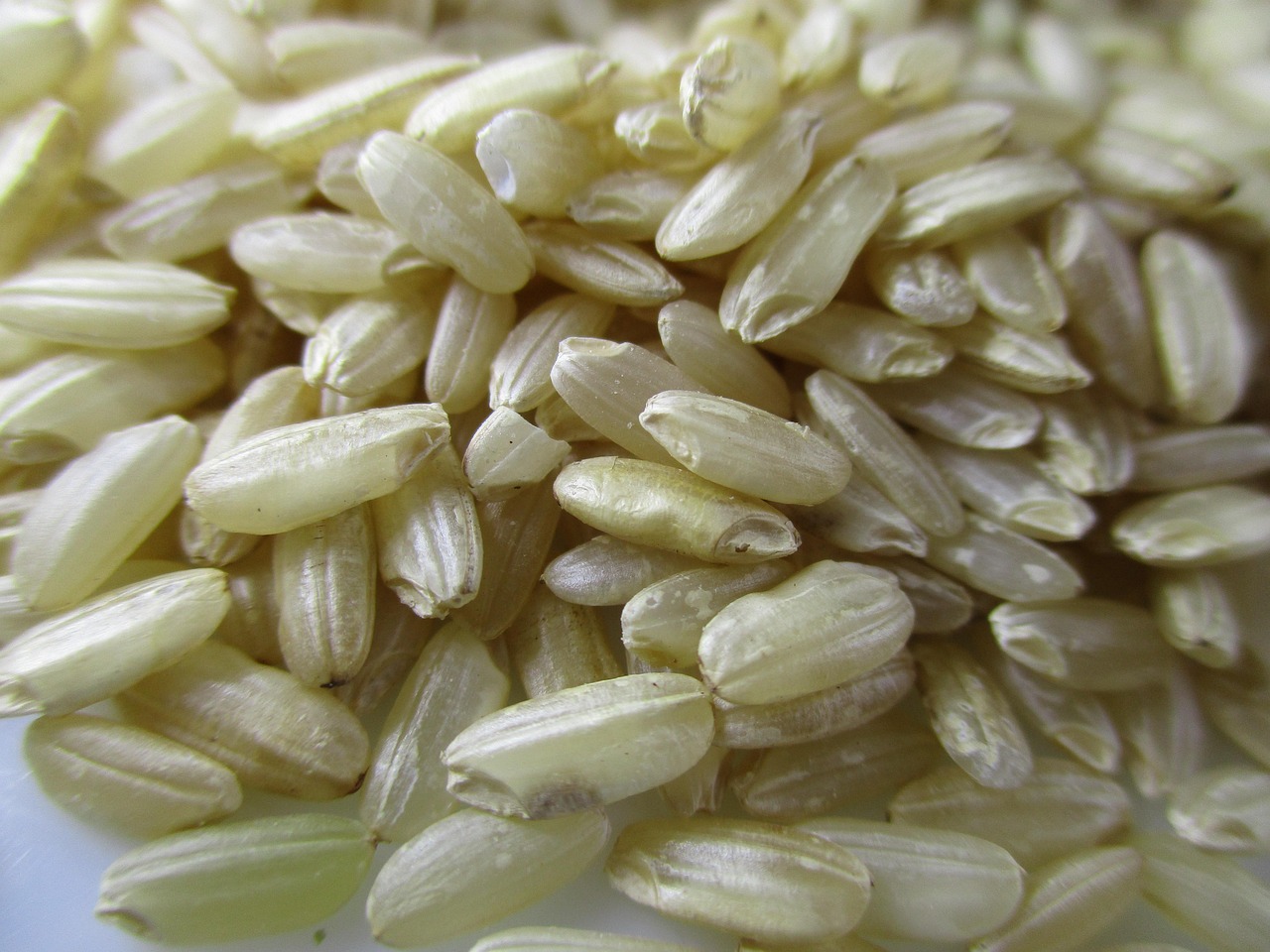 玄米を使ったヘルシーな宅食でダイエットに成功する方法は？