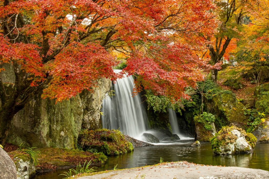 ダイエット宅配弁当のコースで受けられる割引は？