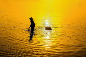 ナッシュの料金はコスパ最強？