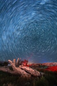 三ツ星ファームのダイエットに関する口コミは本当なのか？