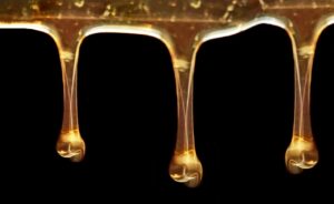 ダイエットに最適な宅配弁当は本当に高いのか？